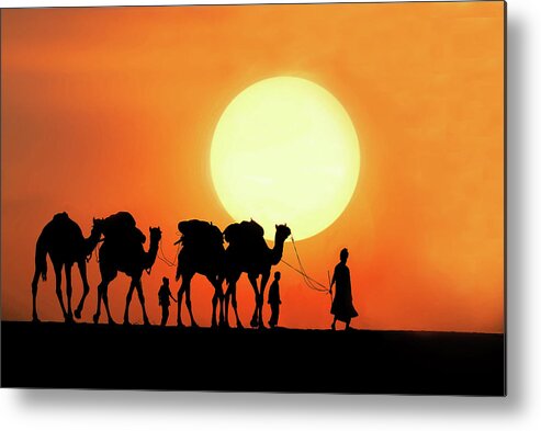 Working Animal Metal Print featuring the photograph Desert Camel Rides by Amateur Photographer, Still Learning...