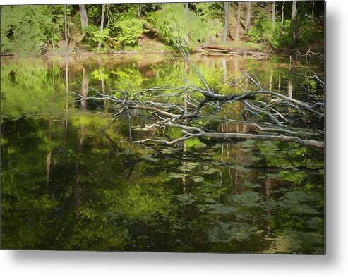 Digital Art Dead Tree Lying In Water Metal Print featuring the photograph Digital Art Dead Tree Lying In Water by Anthony Paladino