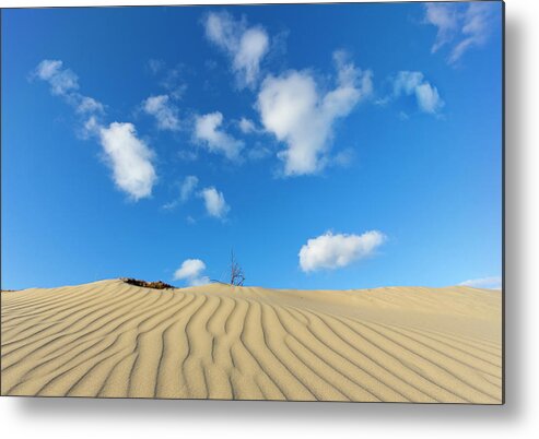 Scenics Metal Print featuring the photograph Dune Landscape And Blue Sky With Clouds by Rob Kints
