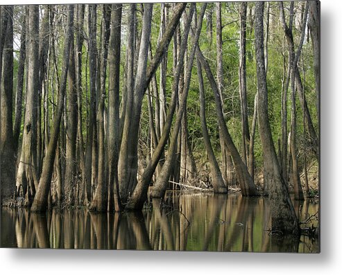 East Metal Print featuring the photograph East Texas Swamp 2 by Renal