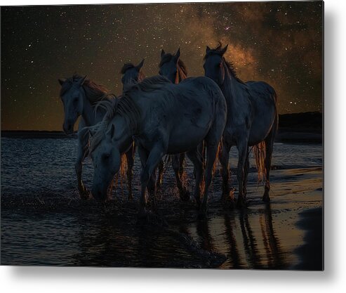 Equine Metal Print featuring the photograph Equine Night by Wade Aiken