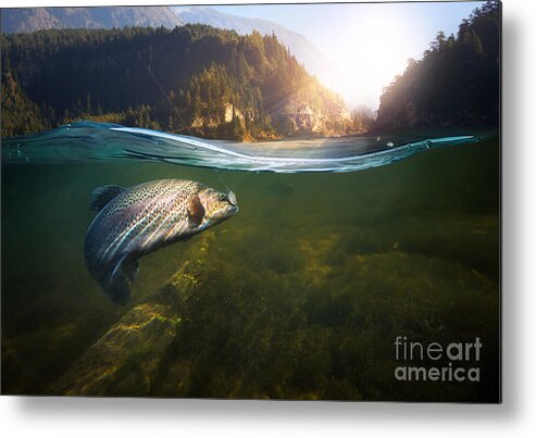 Flare Metal Print featuring the photograph Fishing Close-up Shut Of A Fish Hook by Rocksweeper