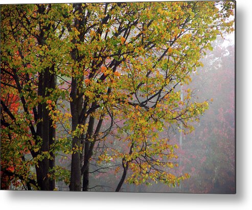 Foggy Metal Print featuring the photograph Foggy Autumn Morning by Jaeda DeWalt