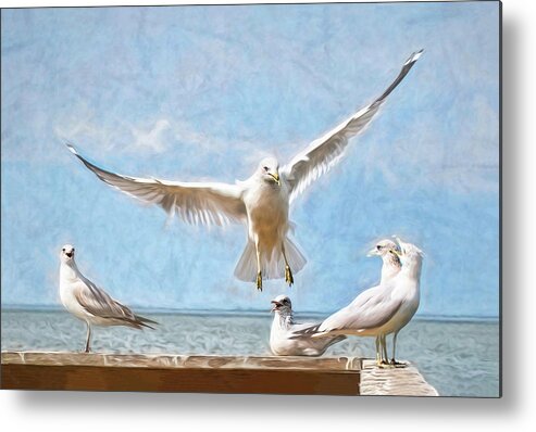 Sea Gull Metal Print featuring the photograph Gang's All Here by Pete Rems