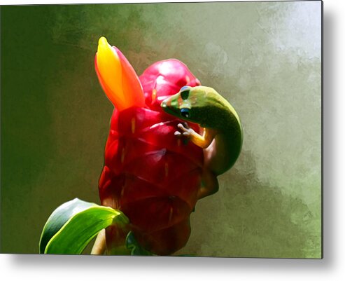 Hawaii Metal Print featuring the photograph Gecko on Ginger - Paintography by Anthony Jones