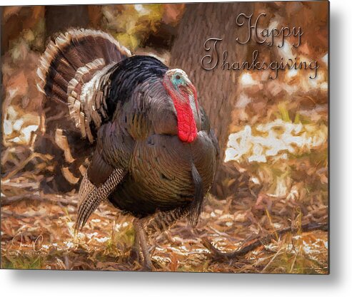 Thanksgiving Metal Print featuring the photograph Happy Thanksgiving by James Capo