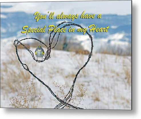 Heart Metal Print featuring the photograph Heart by Rick Mosher