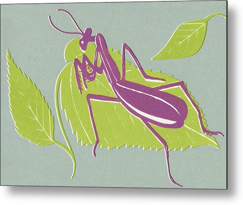 Animal Metal Print featuring the drawing Insect on Leaf by CSA Images