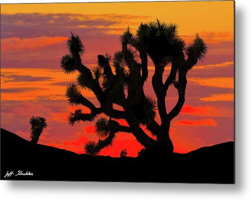 Arid Climate Metal Print featuring the photograph Joshua Tree at Sunset by Jeff Goulden