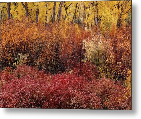 Idaho Scenics Metal Print featuring the photograph Layers of Color by Leland D Howard