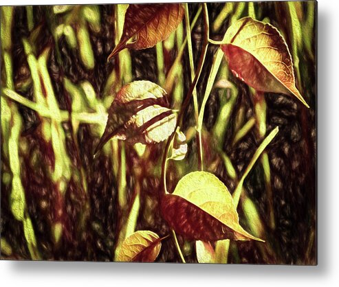 Leafs On Vine Liquid Pencil Drawing Metal Print featuring the photograph Leafs On Vine Liquid Pencil Drawing by Anthony Paladino