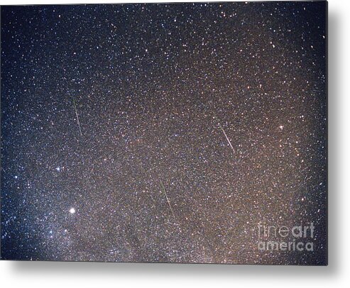 Leonids Metal Print featuring the photograph Leonid Meteor Shower by Dan Schechter/science Photo Library