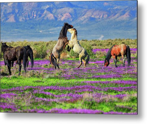 Horses Metal Print featuring the photograph Let's Dance by Greg Norrell