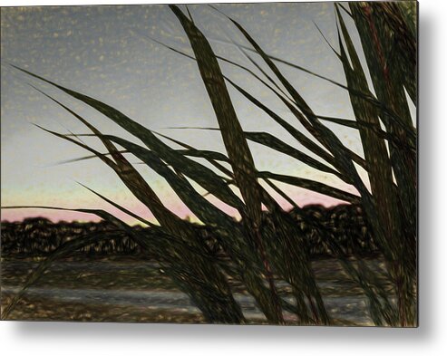 Liquid Pencil Drawing Giant Reeds After Sunset Metal Print featuring the photograph Liquid Pencil Drawing Giant Reeds After Sunset by Anthony Paladino