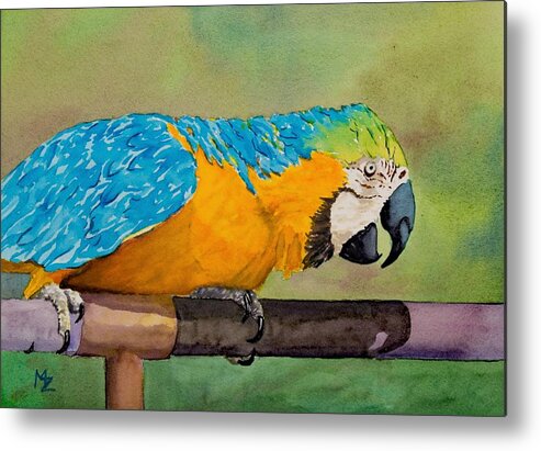 Bird Metal Print featuring the painting Macaw in Orange and Blue by Margaret Zabor