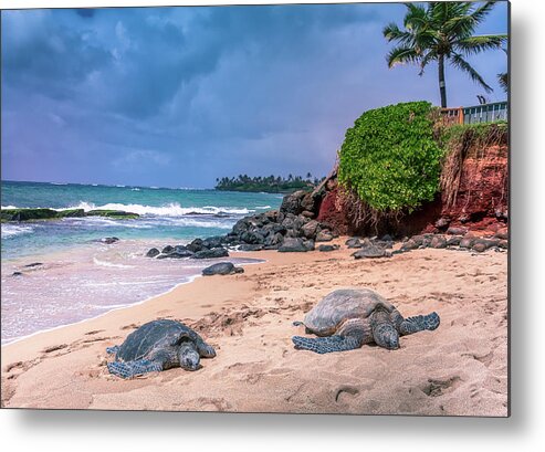 Maui Turtles Metal Print featuring the photograph Maui Sea Turles by Chris Spencer