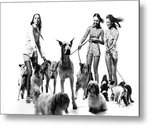 Accessories Metal Print featuring the photograph Models with Dogs on Leashes, Vogue by Bert Stern