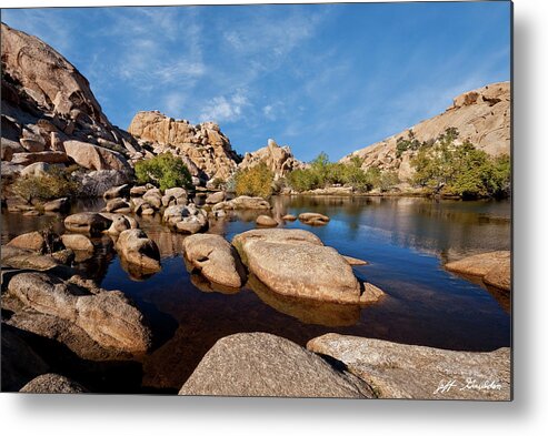 Arid Climate Metal Print featuring the photograph Mojave Desert Oasis by Jeff Goulden