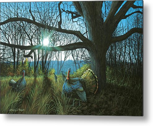 Turkey Metal Print featuring the painting Morning Chat - Turkey by Anthony J Padgett