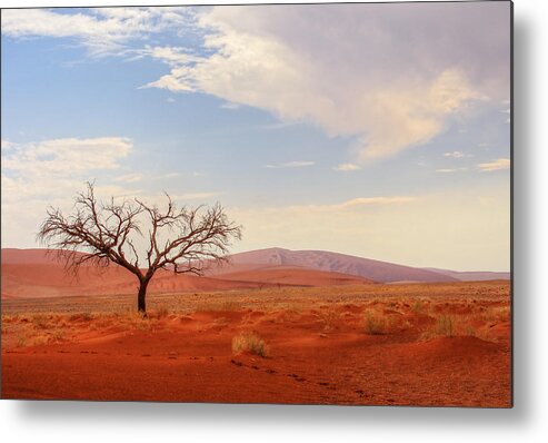 Tranquility Metal Print featuring the photograph Namibia Desert 3 by Björn Disch