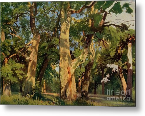 Tranquility Metal Print featuring the drawing Oak Trees At Eventide by Print Collector