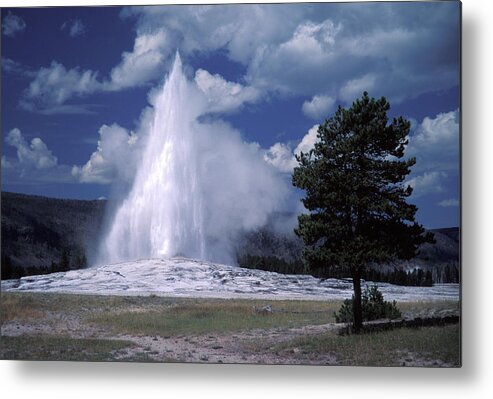 Geyser Metal Print featuring the photograph Old Faithful Geyser by Yenwen