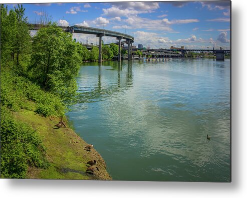 Columbia Metal Print featuring the photograph On the Banks of the Willamette 0872 by Kristina Rinell