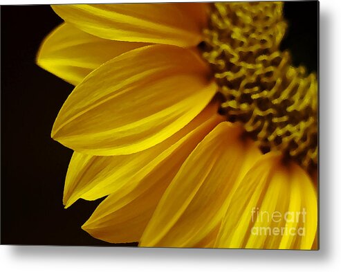 Flower Metal Print featuring the photograph One-forth by Lorenzo Cassina