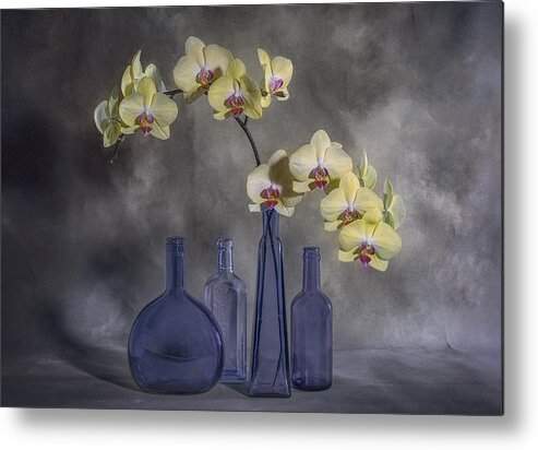Orchid Metal Print featuring the photograph Orchids by Lydia Jacobs