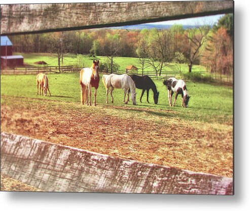 Barn Metal Print featuring the photograph Pasture Friends by JAMART Photography