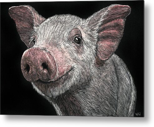 Drawing Metal Print featuring the drawing Piglet by William Underwood