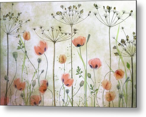 Floral Metal Print featuring the photograph Poppy Meadow by Mandy Disher