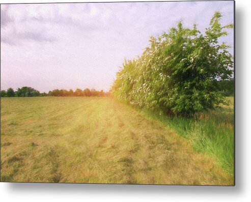 Landscape Metal Print featuring the photograph Remember Summer 3 by Jaroslav Buna