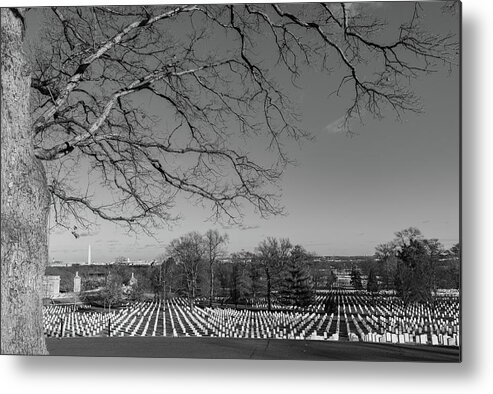 Arlington National Cemetery Metal Print featuring the photograph Rows of Remembrance by Liz Albro