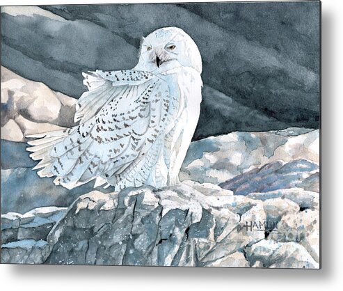 Bird Metal Print featuring the painting Sachuest Snowy by Steve Hamlin