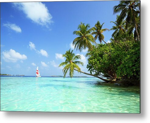 Sailboat Metal Print featuring the photograph Sail Boat, Indian Ocean by Matteo Colombo