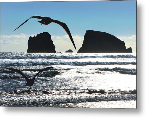 Seagulls Metal Print featuring the photograph Seagulls at Point Grenville by Scenic Edge Photography