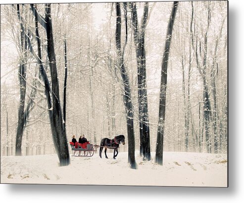 Winter Metal Print featuring the photograph Winter Sleigh Ride by Jessica Jenney