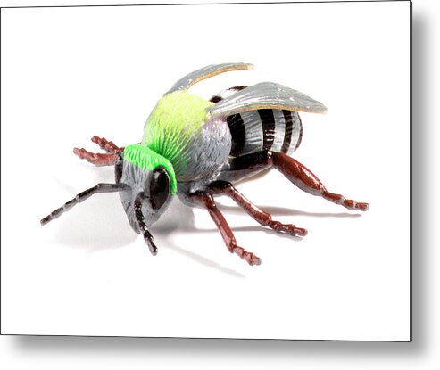 Animal Metal Print featuring the drawing Silver and Black Bee by CSA Images