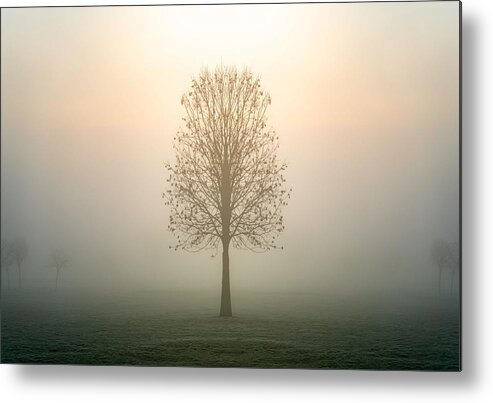 Trees Metal Print featuring the photograph Single Lone Tree Silhouette Standing by Matthew Troke