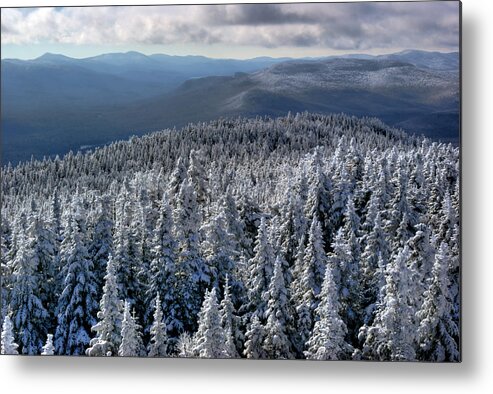 Tranquility Metal Print featuring the photograph Snowy Trees Atop Blue Mountain by Brett Maurer