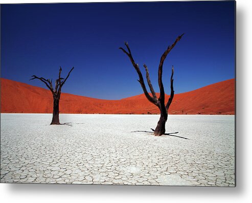 Tranquility Metal Print featuring the photograph Sossusvlei In Namib Desert, Namibia by Igor Bilic