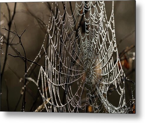 Astoria Metal Print featuring the photograph Spooky Spider Web by Robert Potts