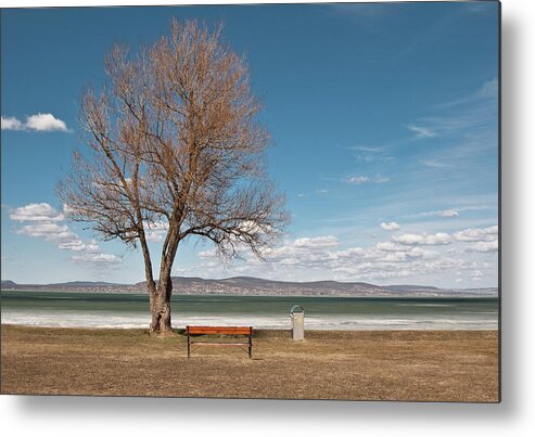 Scenics Metal Print featuring the photograph Spring Minimal by Máté Makarész