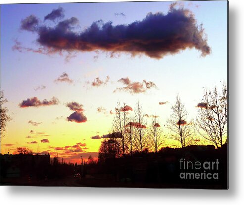 Trees Metal Print featuring the photograph Sunset by Jasna Dragun