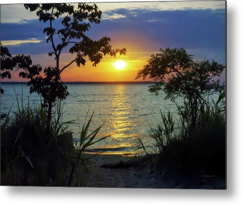 2d Metal Print featuring the photograph Sunset Silhouette Terrapin Pk by Brian Wallace