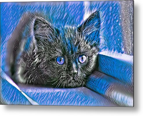 Blue Metal Print featuring the digital art Super Cool Black Cat Blue Eyes by Don Northup