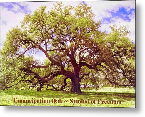 Emancipation Oak Metal Print featuring the photograph Symbol of Freedom - Emancipation Oak by Ola Allen