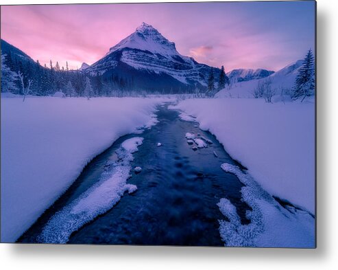 Canadianrockies; Jasper; Winter; Twilight; Mountain; Snow Metal Print featuring the photograph Tangle Twilight by Xiaolin Ni