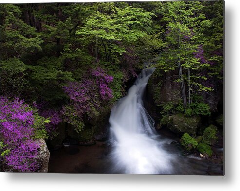 Outdoors Metal Print featuring the photograph The Azalea Which Blooms To The by All Rights Reserved